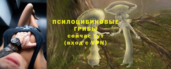 mdpv Баксан