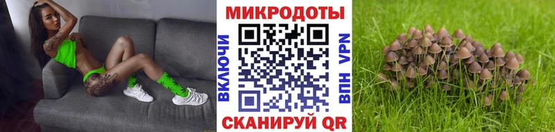 mega ССЫЛКА  Петровск  Галлюциногенные грибы Magic Shrooms 